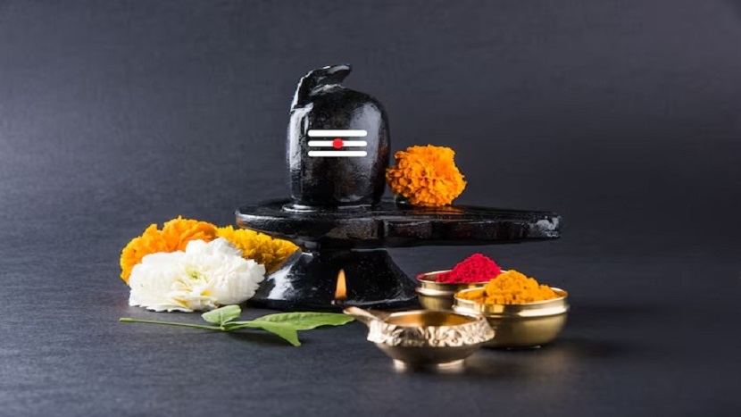 Kaal Sarp Dosh Nivaran Puja