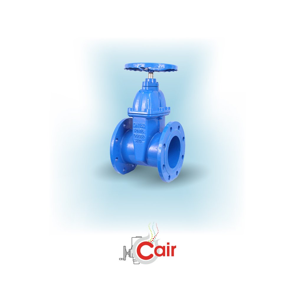 Resilient Gate Valves
