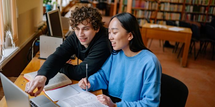 Online Assignment Help in Ireland